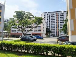 Hougang Avenue 1 (D19), Shop House #584759521